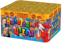 Новогодние цветы Фейерверк купить в Верещагино | vereshchagino.salutsklad.ru