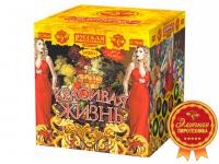 Красивая жизнь Фейерверк купить в Верещагино | vereshchagino.salutsklad.ru