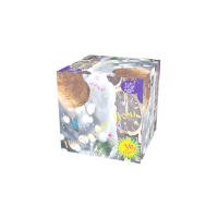 Новогодняя ночь Салют купить в Верещагино | vereshchagino.salutsklad.ru