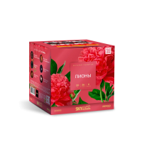 Пионы Салют купить в Верещагино | vereshchagino.salutsklad.ru