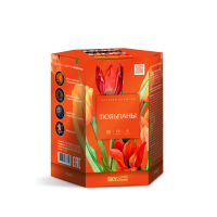 Тюльпаны Салют купить в Верещагино | vereshchagino.salutsklad.ru