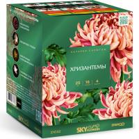 Хризантемы Фейерверк купить в Верещагино | vereshchagino.salutsklad.ru