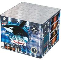 Косатка Фейерверк купить в Верещагино | vereshchagino.salutsklad.ru