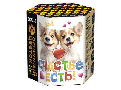 Счастье есть! Салют купить в Верещагино | vereshchagino.salutsklad.ru