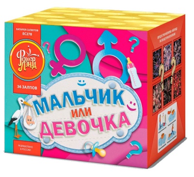 Мальчик или девочка М Фейерверк купить в Верещагино | vereshchagino.salutsklad.ru